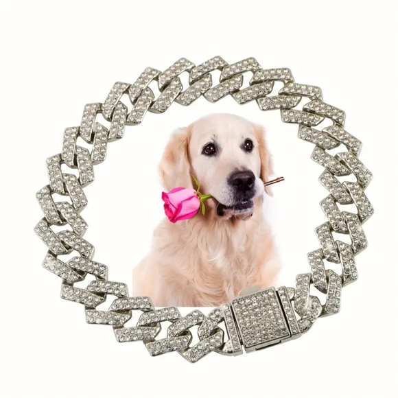 (New in package)Medium Elegant Silver Dog Collar - Picture 6 of 6